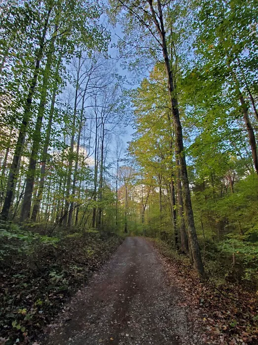 Chestnut Creek Campground Picture 7