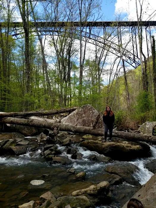 Chestnut Creek Campground Picture 9