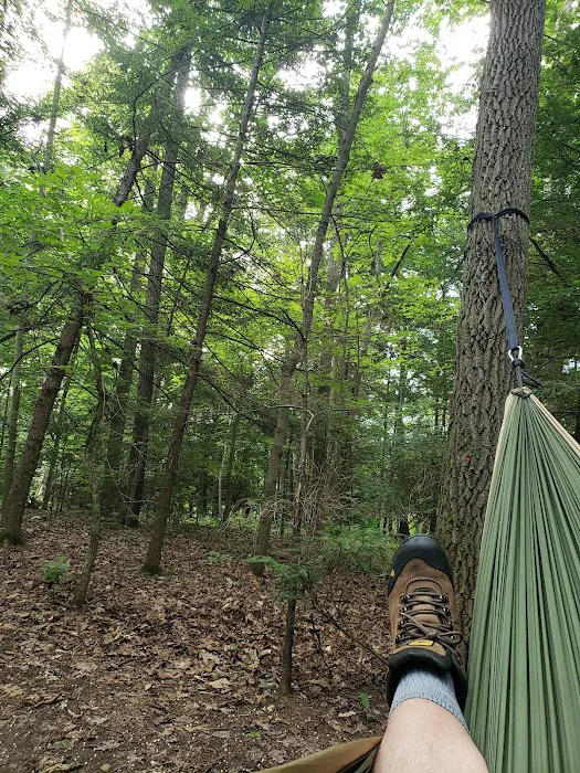 Chestnut Creek Campground Picture 3