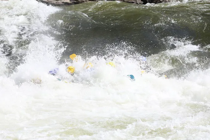 Chestnut Creek Campground Picture 5