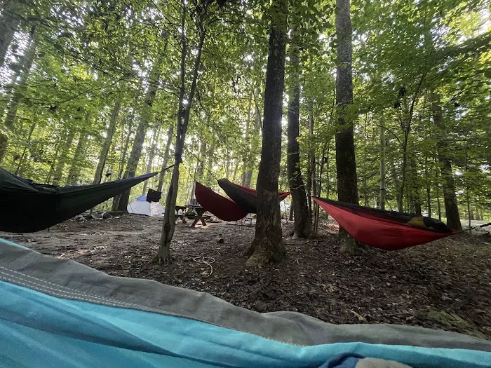 Chestnut Creek Campground Picture 6