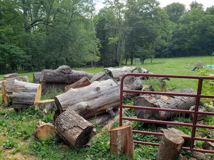 Chestnut Creek Campground Picture 2