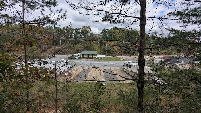 Happy Camper Picture 9