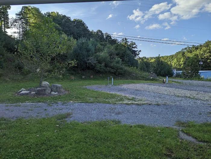 Happy Camper Picture 4