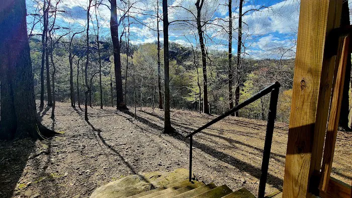 Perry Mountain Hideaway Picture 8