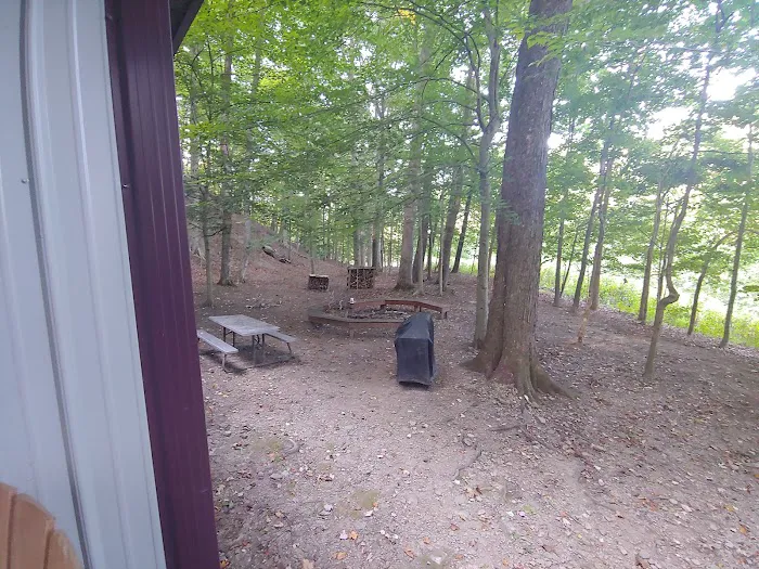 Perry Mountain Hideaway Picture 4