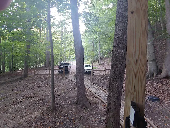 Perry Mountain Hideaway Picture 3