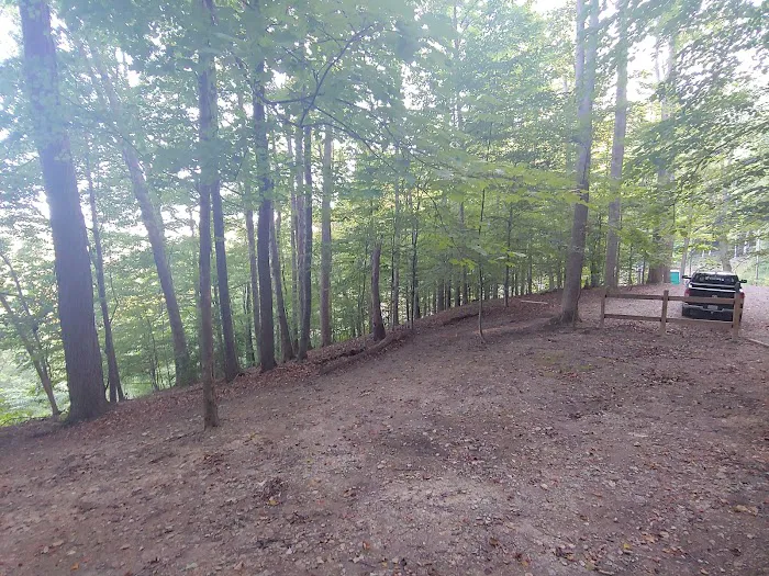 Perry Mountain Hideaway Picture 2