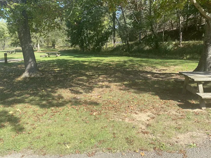 Beech Fork Campgrounds Picture 6