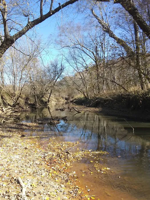 Blacks Camper Lots Picture 6