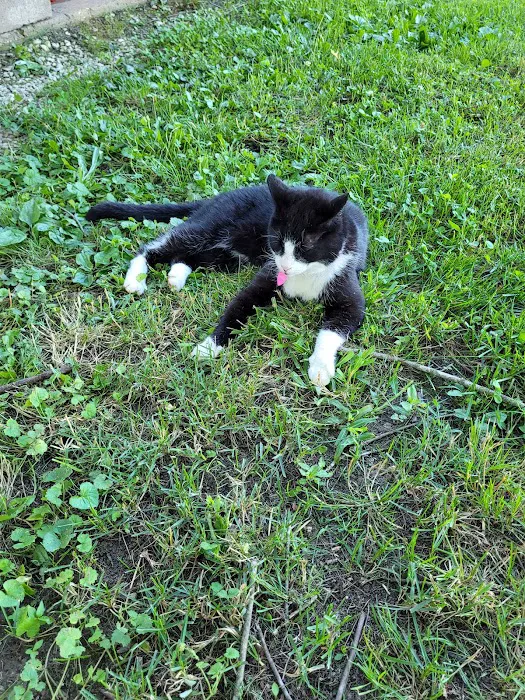 Blacks Camper Lots Picture 4