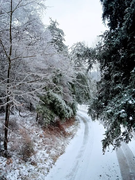 Blacks Camper Lots Picture 7