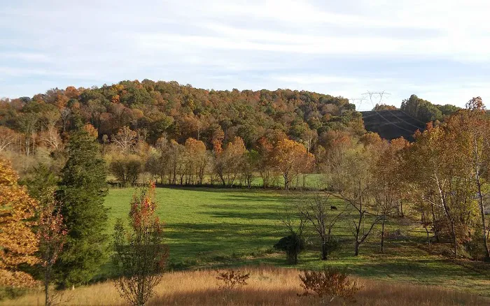 Blacks Camper Lots Picture 3