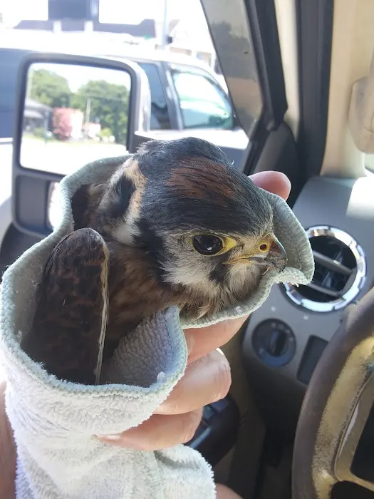 Blacks Camper Lots Picture 2