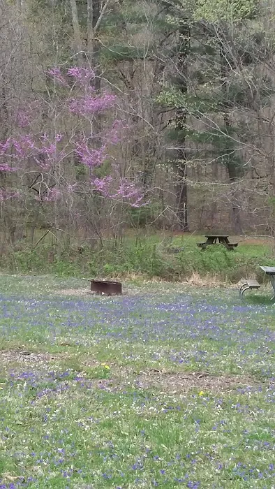 Scioto Trail State Park Walk-In Camping Area Picture 1