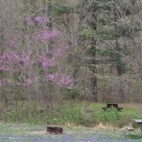 Scioto Trail State Park Walk-In Camping Area ico