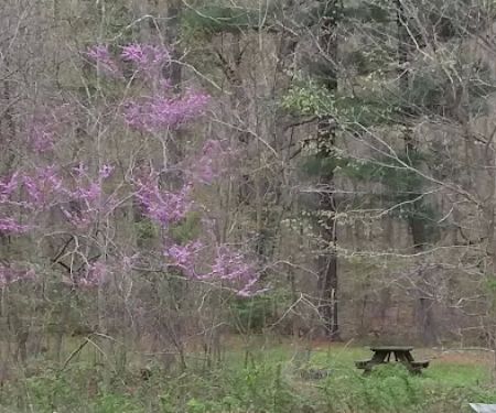 Scioto Trail State Park Walk-In Camping Area