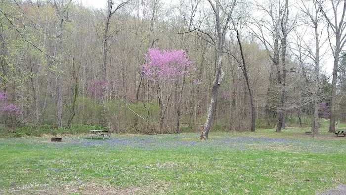 Scioto Trail State Park Walk-In Camping Area Picture 2