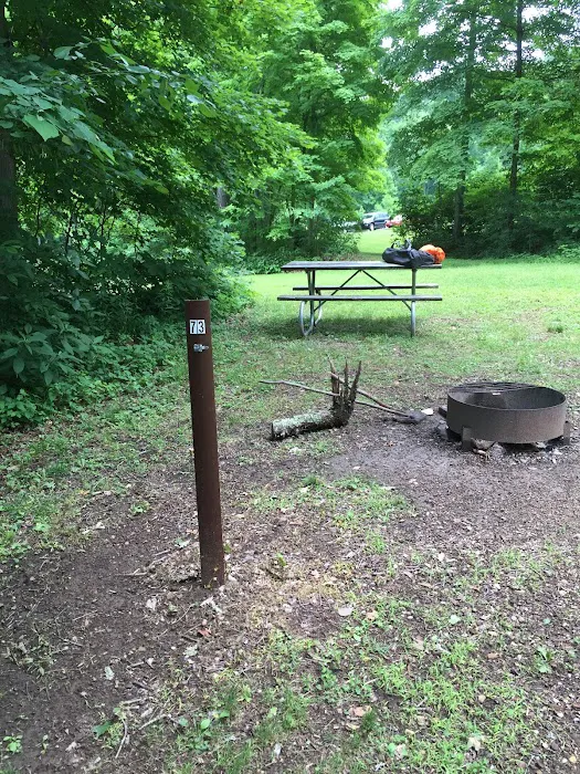 Scioto Trail State Park Walk-In Camping Area Picture 8