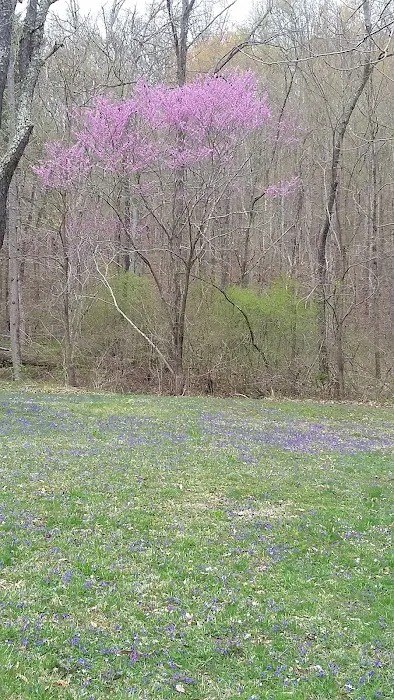 Scioto Trail State Park Walk-In Camping Area Picture 5