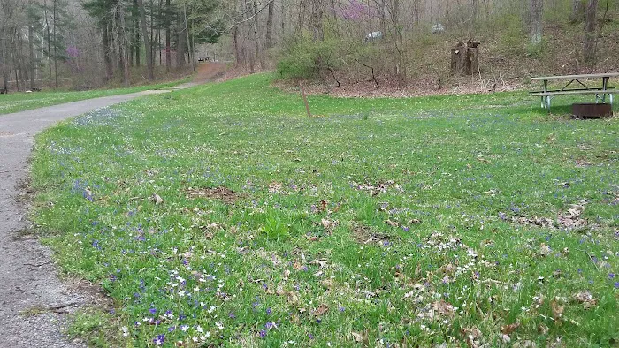 Scioto Trail State Park Walk-In Camping Area Picture 4