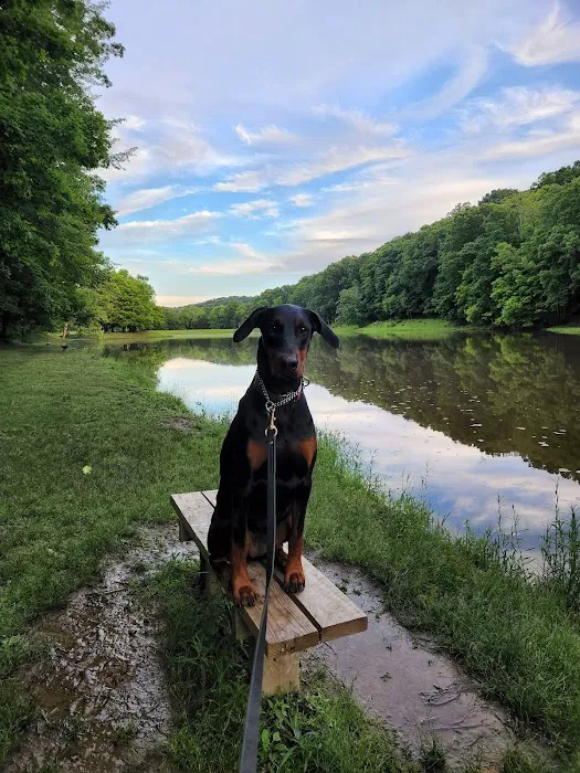 Scioto Trail State Park Campground Picture 3
