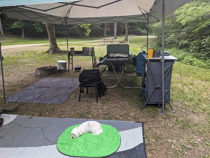 Scioto Trail State Park Campground Picture 7