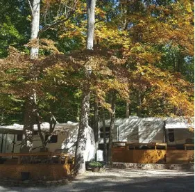 Walnut Creek Campground & Resort Picture 10