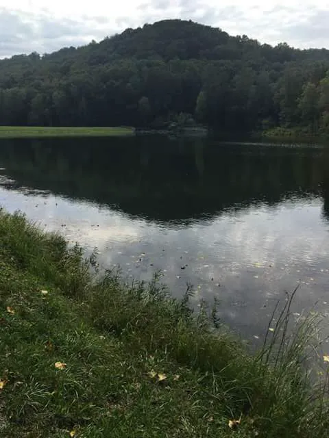 Tar Hollow North Ridge Campground Picture 1