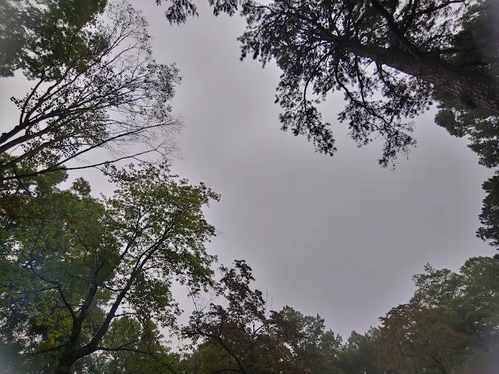 Tar Hollow North Ridge Campground Picture 4