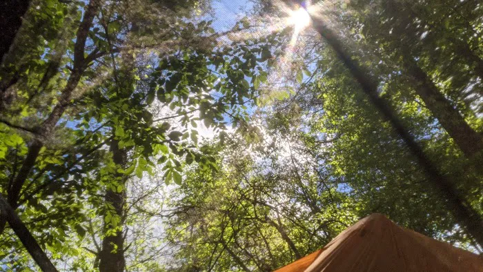 Hocking Hills Walk-in Camp Sites Picture 4