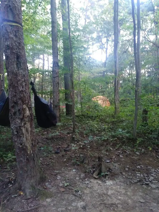 Hocking Hills Walk-in Camp Sites Picture 6