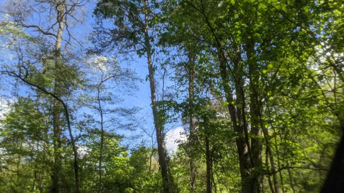 Hocking Hills Walk-in Camp Sites Picture 5