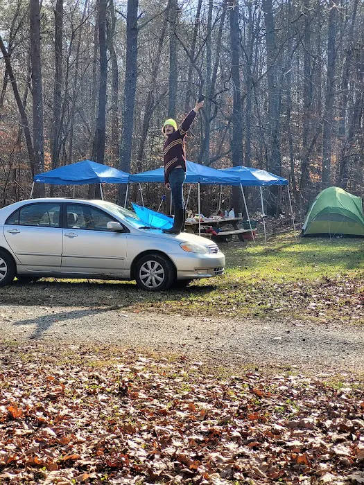Spruce Pine Campground Picture 10