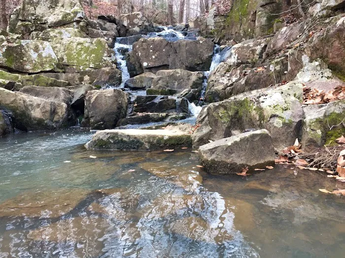 Spruce Pine Campground Picture 7
