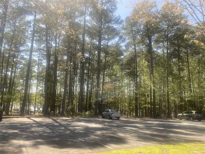 Parkers Creek Campground Picture 3
