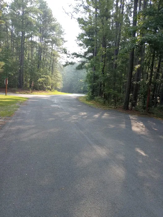 Poplar Point B Loop Campground Picture 8