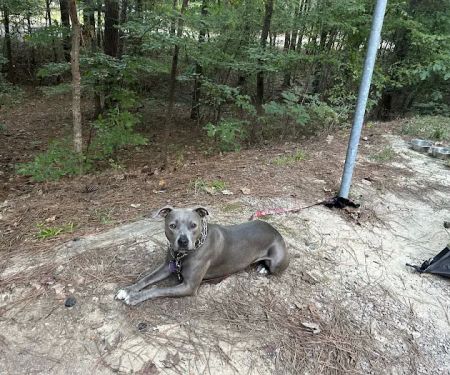 Poplar Point C Loop Campground, lot 39