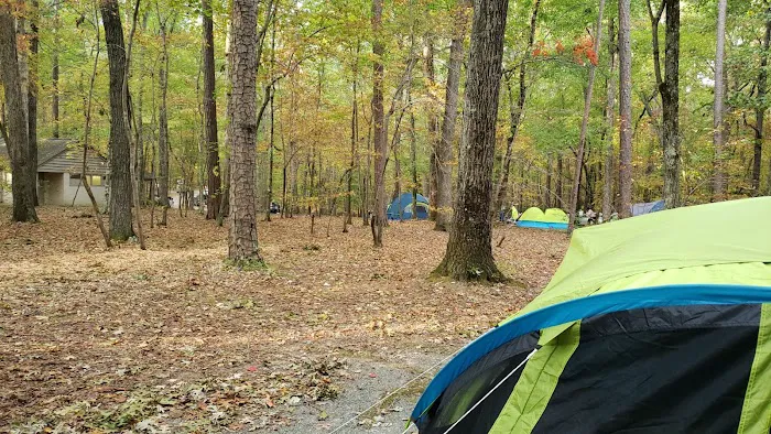 William B. Umstead Family Campground Picture 1