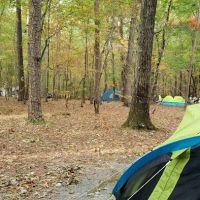 William B. Umstead Family Campground ico
