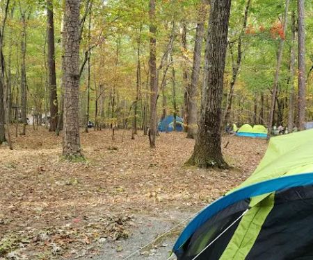 William B. Umstead Family Campground