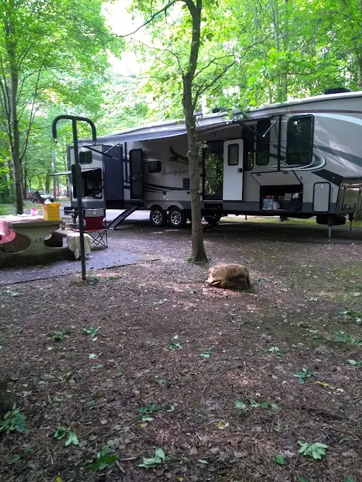 William B. Umstead Family Campground Picture 3