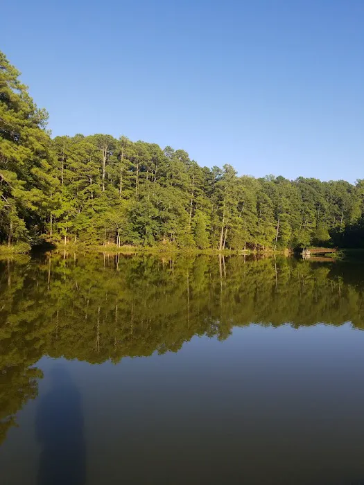 Camp Lapihio Picture 7