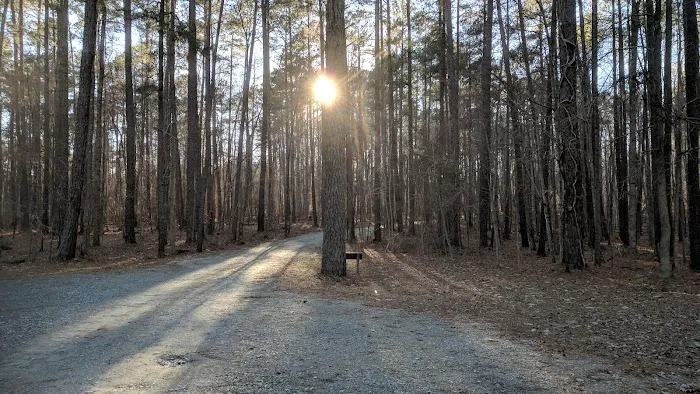 Camp Lapihio Picture 1