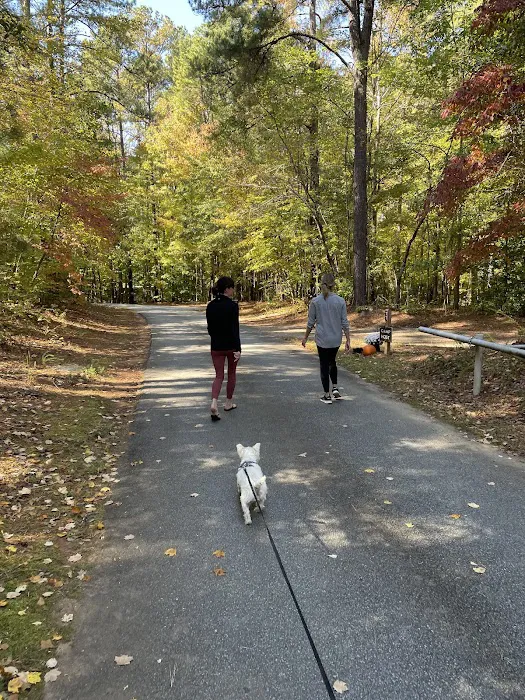 Holly Point Loop 3 Campgrounds Picture 7