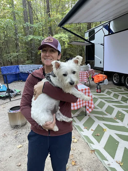 Holly Point Loop 3 Campgrounds Picture 5