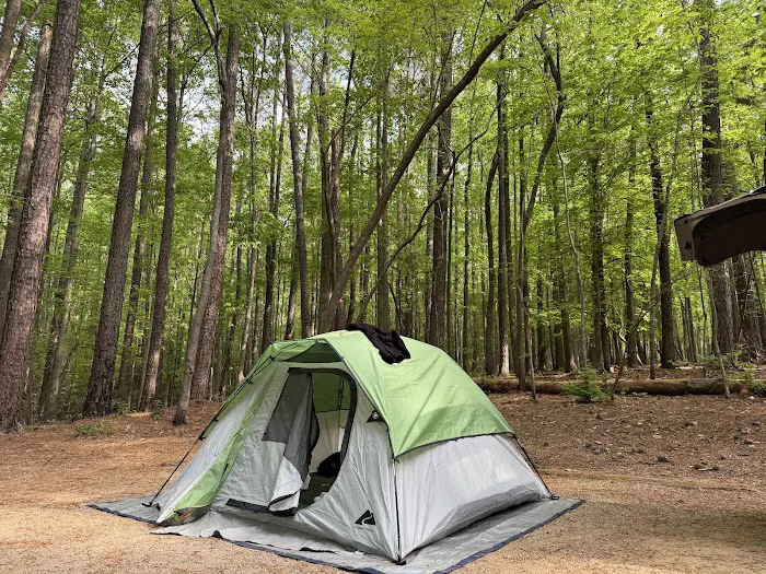 Holly Point Campground State Recreation Area Picture 10