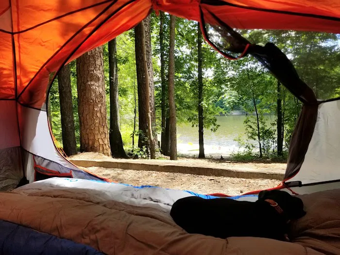 Holly Point Campground State Recreation Area Picture 5