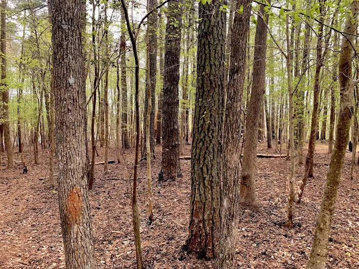 Holly Point Campground State Recreation Area Picture 2
