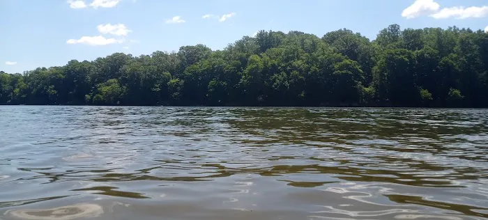 Holly Point Loop 4 Campgrounds Picture 3